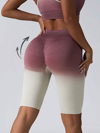 3-Pack Women’s Seamless Scrunch Shorts – High-Waisted Contour Yoga & Gym Biker Shorts